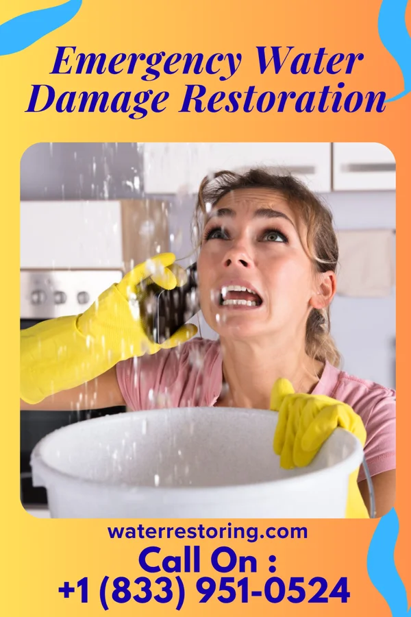 Emergency Water Damage Restoration in Williston, MD