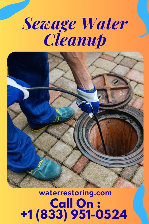 Sewage Water Cleanup in Williston, MD